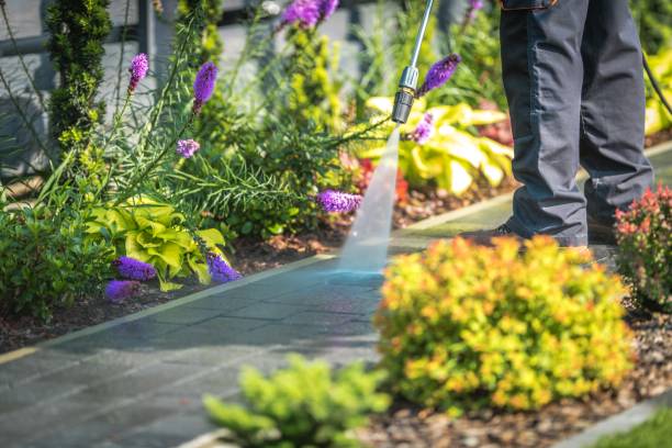 Best Gutter Cleaning  in Brent, FL